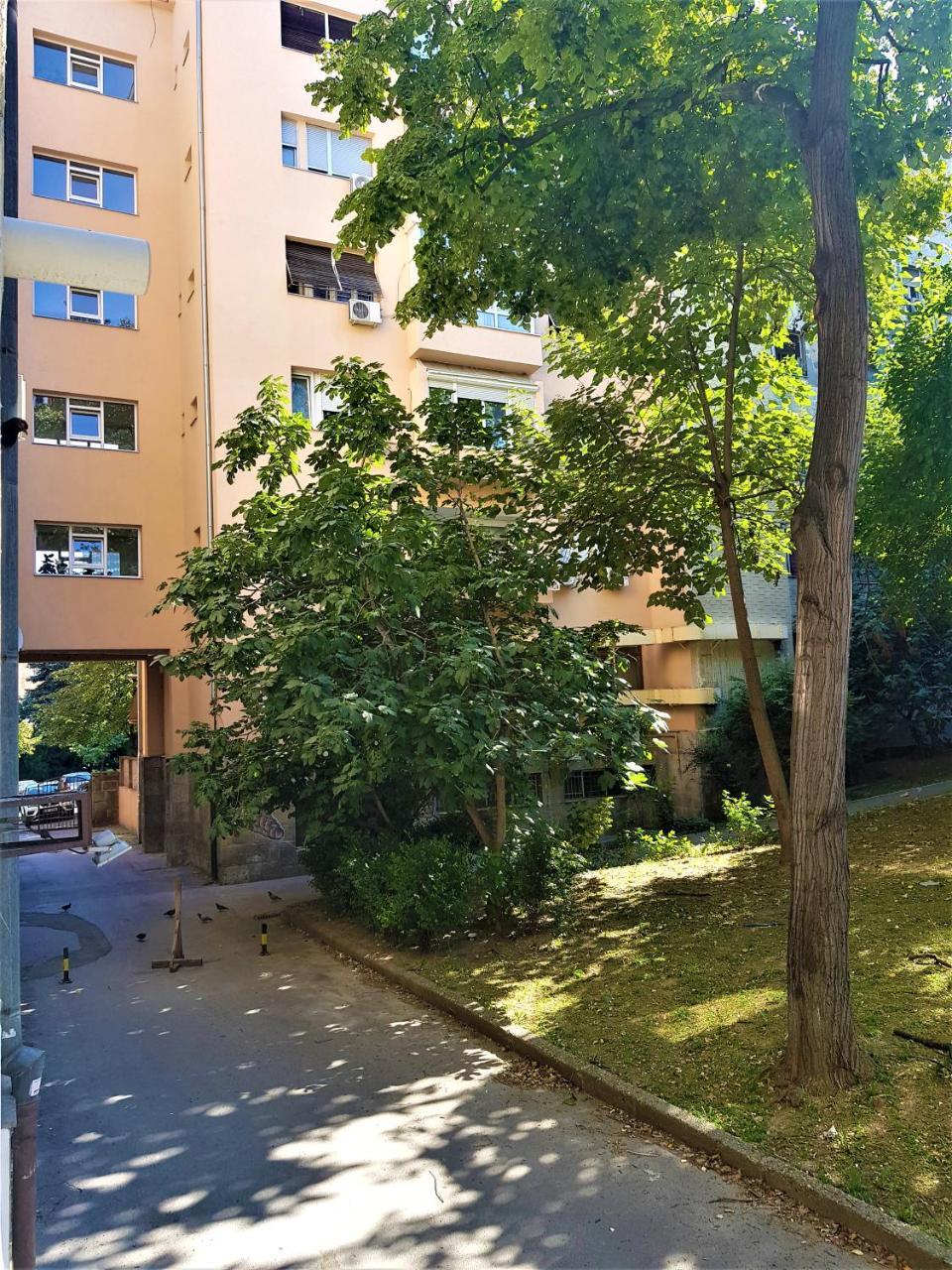 Asya Blue Studio Belgrado Exterior foto